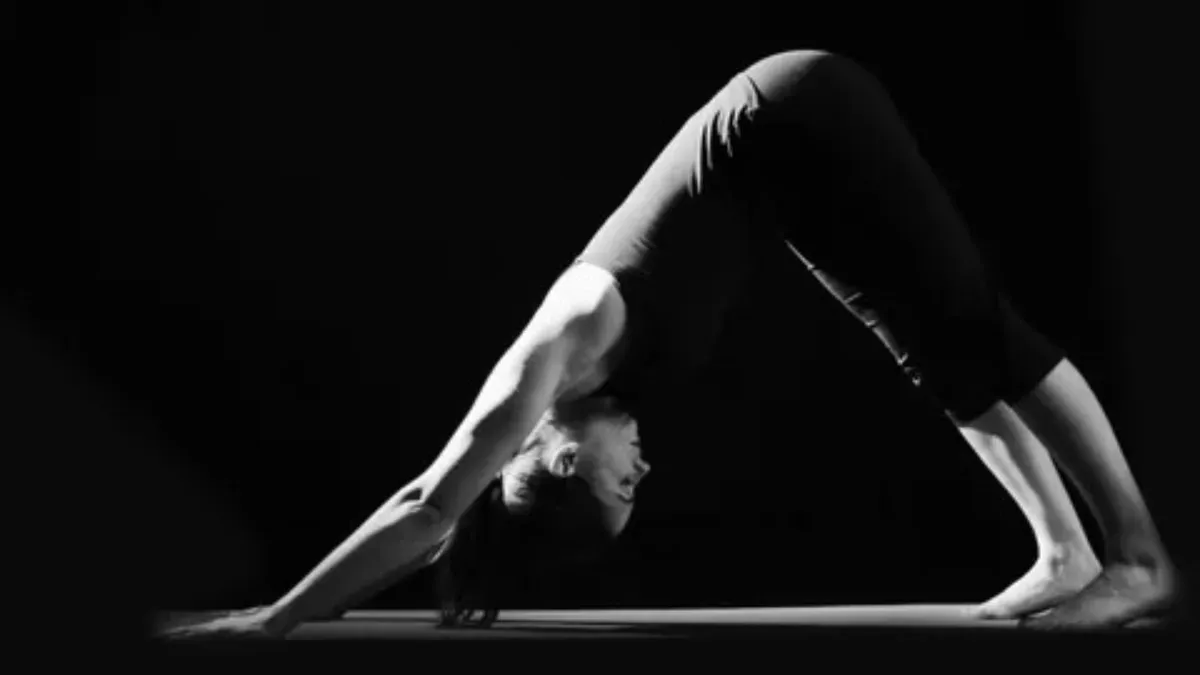 Обложка программы «Йога с нуля 🧘‍♂️»