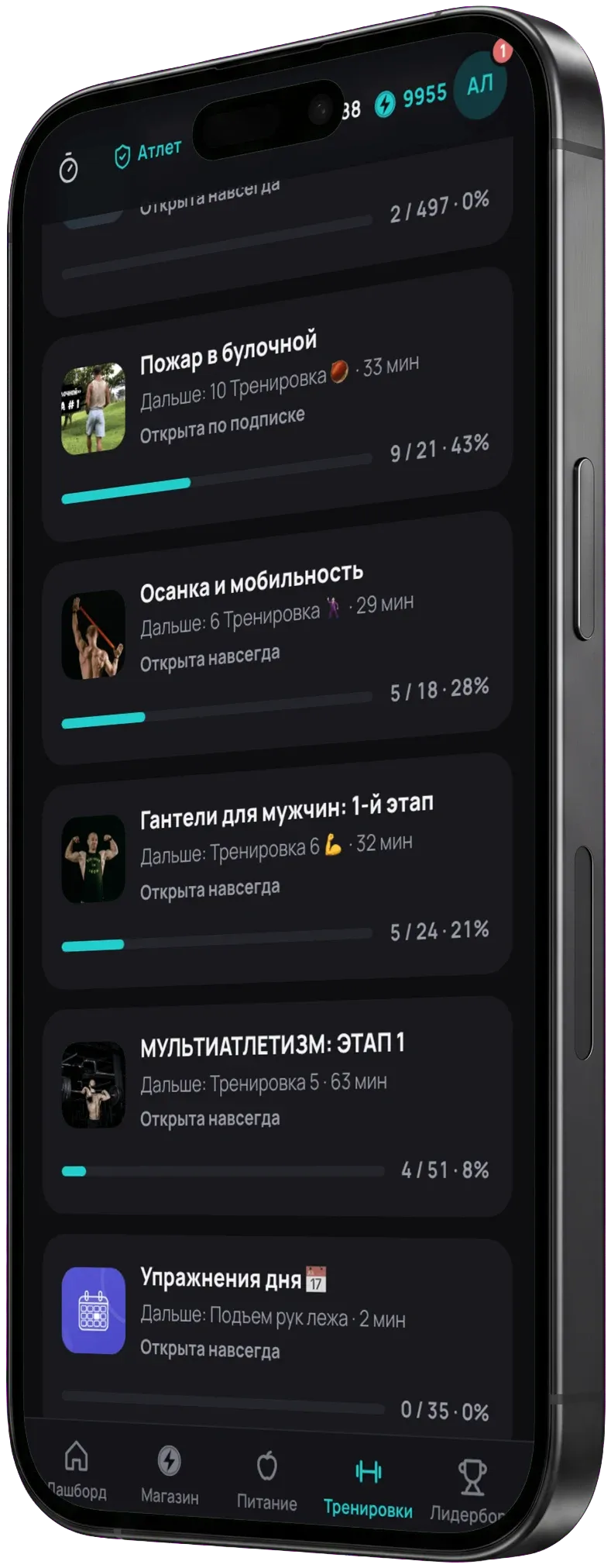 Мои программы с прогрессом прохождения в Pain Buddy